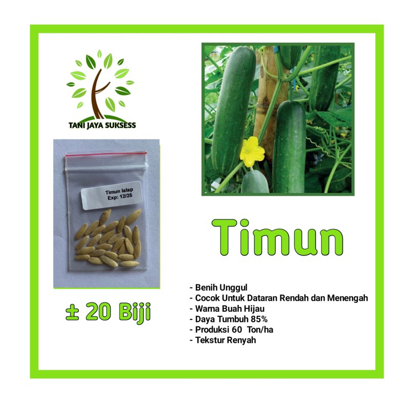 18 Benih Timun Lalap Benih Timun Lalap Unggul Berkualitas Bibit Timun Lalap