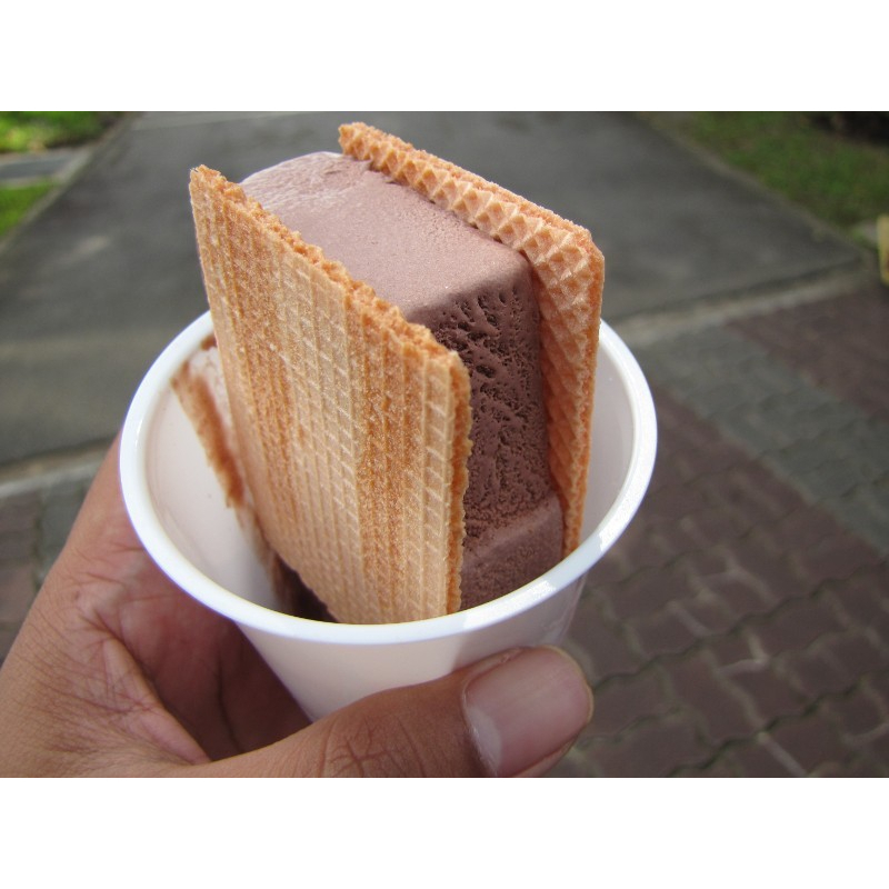 

BAHAN PREMIUM PENGERAS ICE CREAM 300GR
