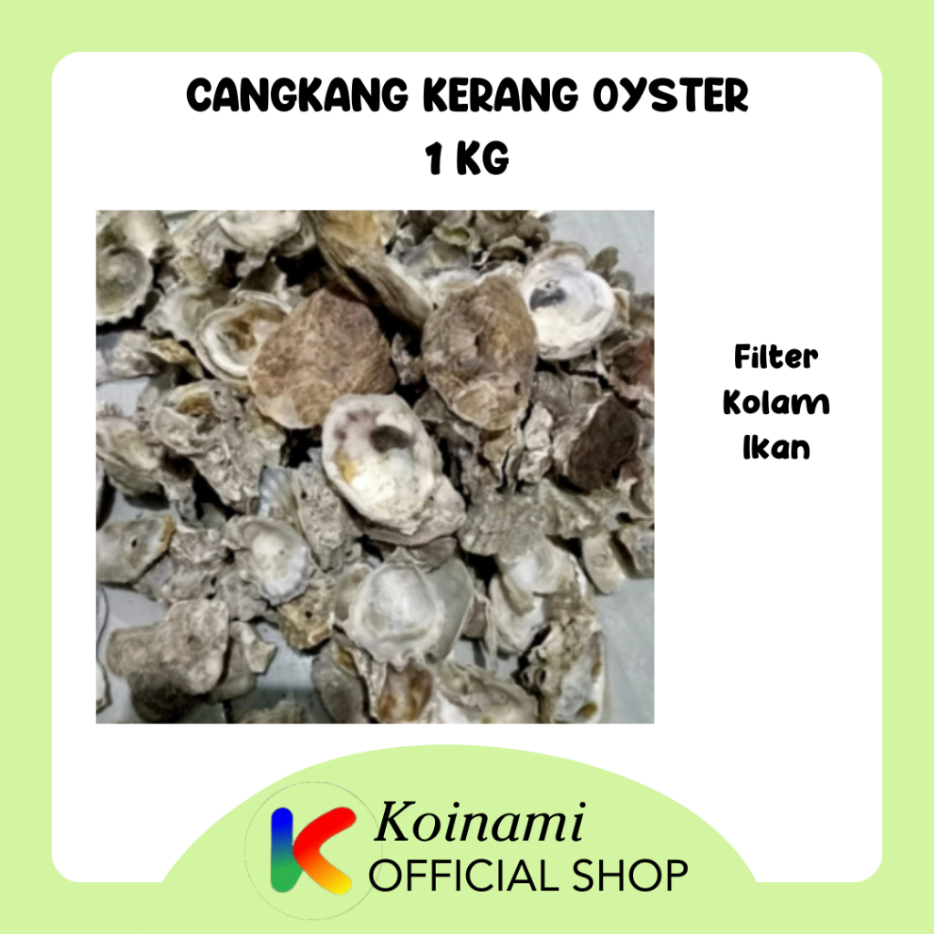 Cangkang Kerang Oyster 1kg - Filtrasi Ikan - Filter Kolam - Media Filter Kolam Ikan