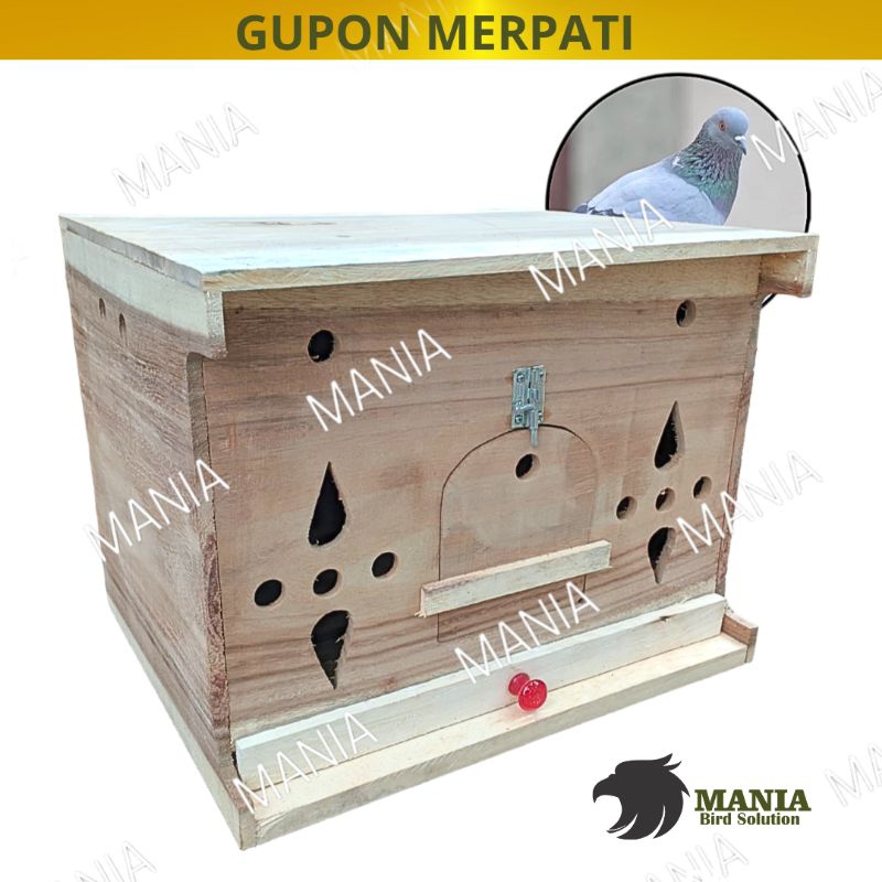 GUPON PAGUPON MERPATI DARA KANDANG MERPATI KAYU