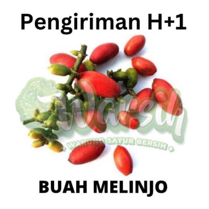 

WARSIH • BUAH MELINJO 200GR