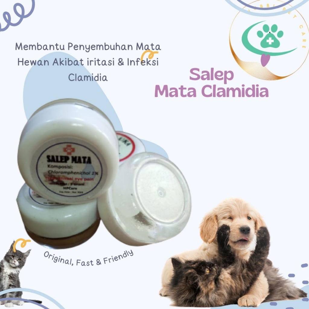 obat mata kucing clamidia - obat salep mata kucing dan anjing clamidya