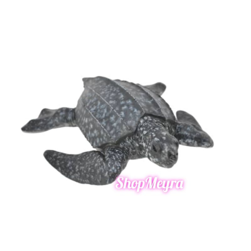 Collecta Figure Sea Animal Turtle