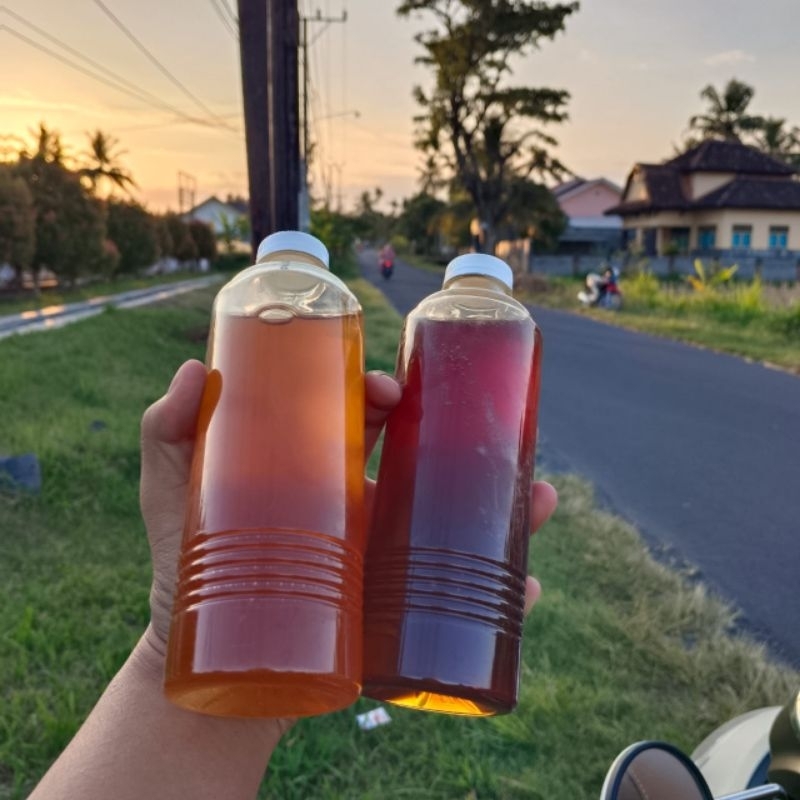 

madu lebah asli 100% tanpa campuran