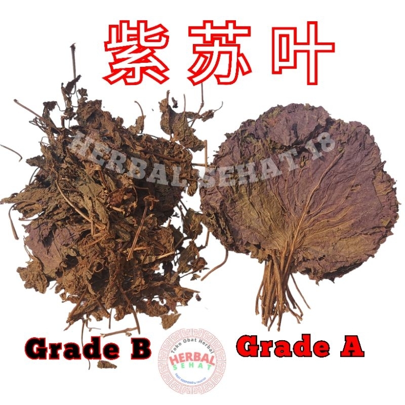 

Zi Su Ye 100 gram Zisuye shu ye Zhi su Perillae Folium Perilla Leaf