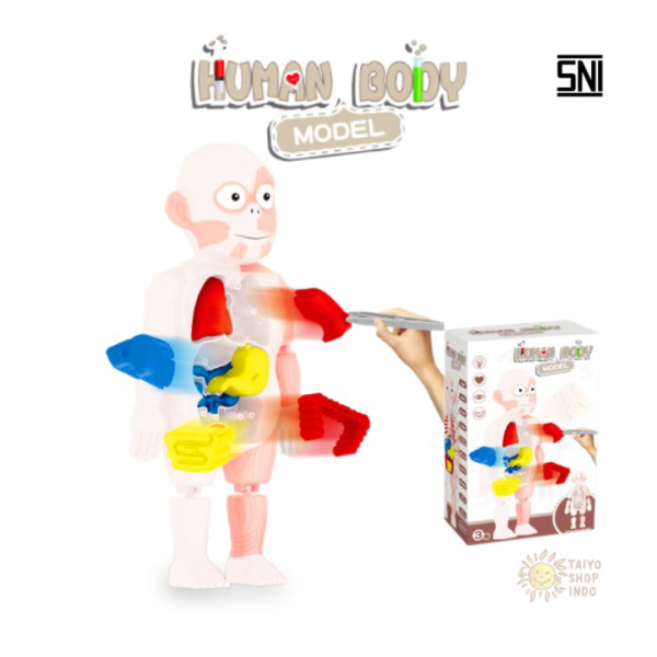 

Mainan Dijual Body Sains Limited Eksperimen Anak Eruption Volcano - Human Edukasi