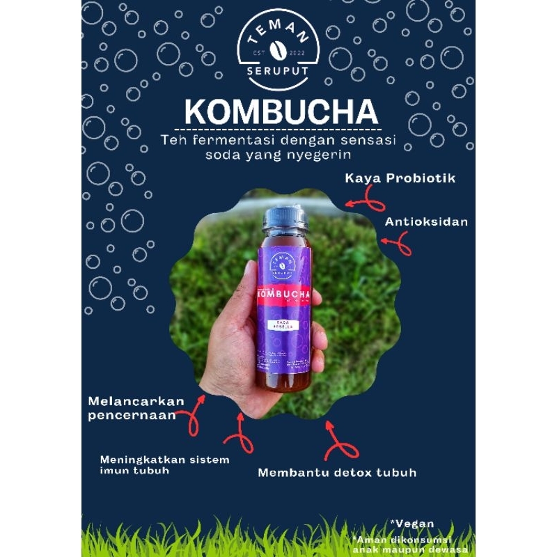 

Minuman Kombucha rasa Lemonade 250ml