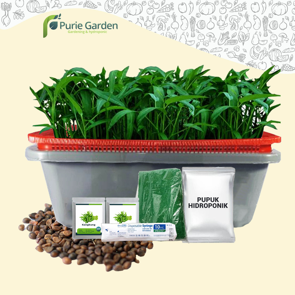 Paket Kit Kangkung Hidroponik