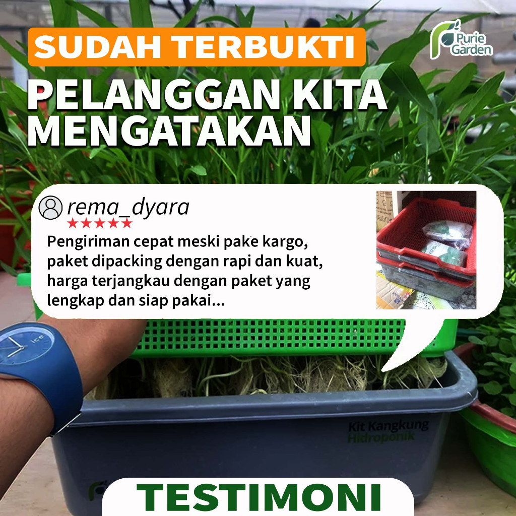 Paket Kit Kangkung Hidroponik