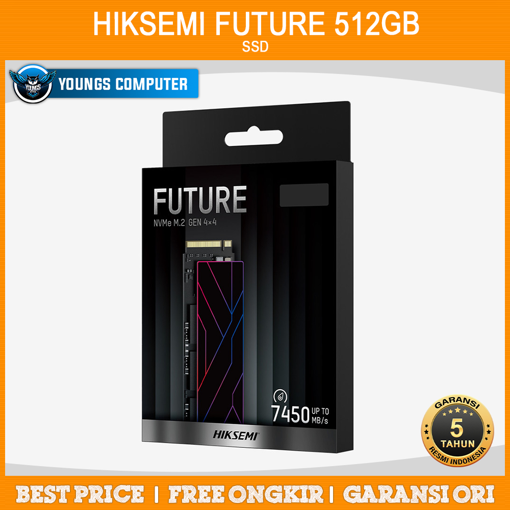 SSD HIKSEMI FUTURE PCIe Gen4x4 NVME 512GB | HS-SSD-FUTURE 512G