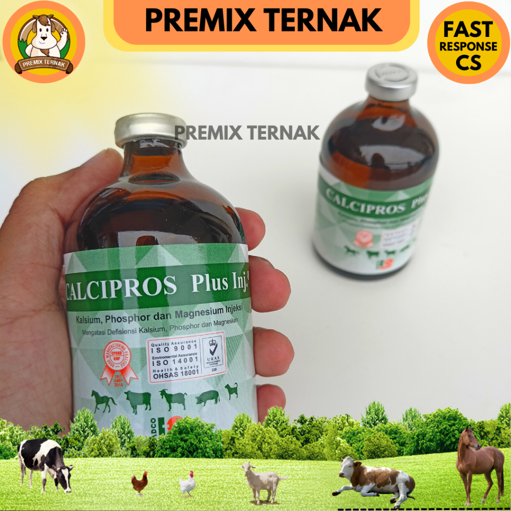 CALCIPROS PLUS INJ 100ML - Obat ambruk sapi kambing domba kekurangan kalsium magnesium dan phosphor - Obat sapi ambruk - Obat kambing ambruk - Mirip Calcidex plus