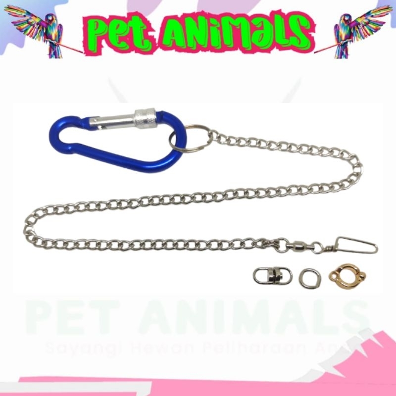 rantai ring borgol burung nuri ambon, paltem/ nuri kepala hitam fullset