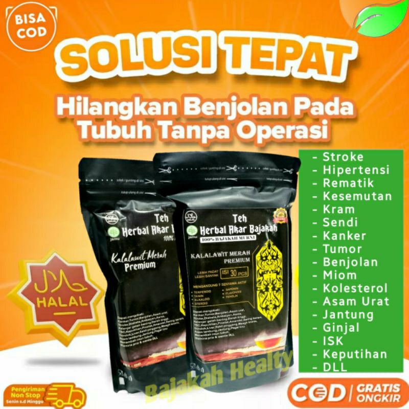 

Teh Herbal Bajakah Kalalawit Merah Black Premium Obat Benjolan Stroke Dan Hipertensi Asli Kalimantan