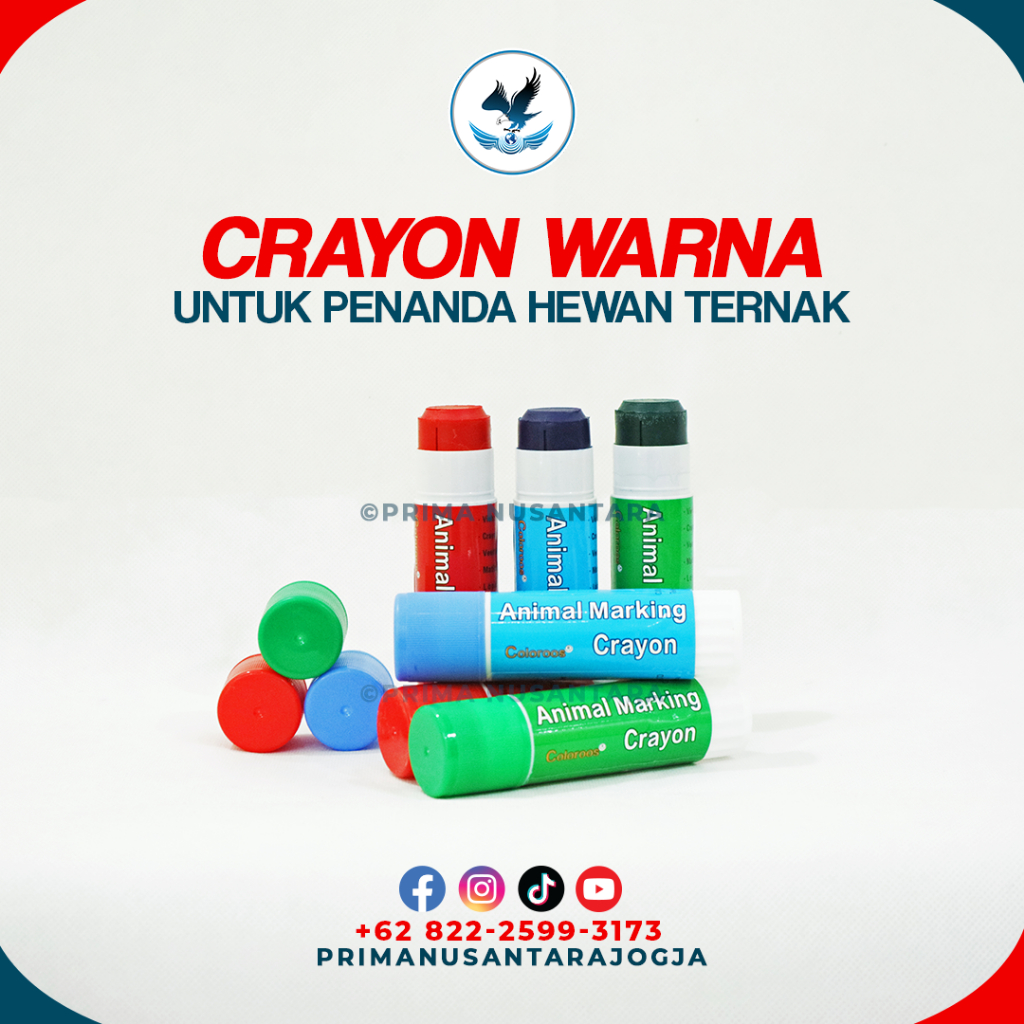 

CRAYON WARNA UNTUK PENANDA HEWAN TERNAK PILIHAN WARNA MERAH HIJAU BIRU