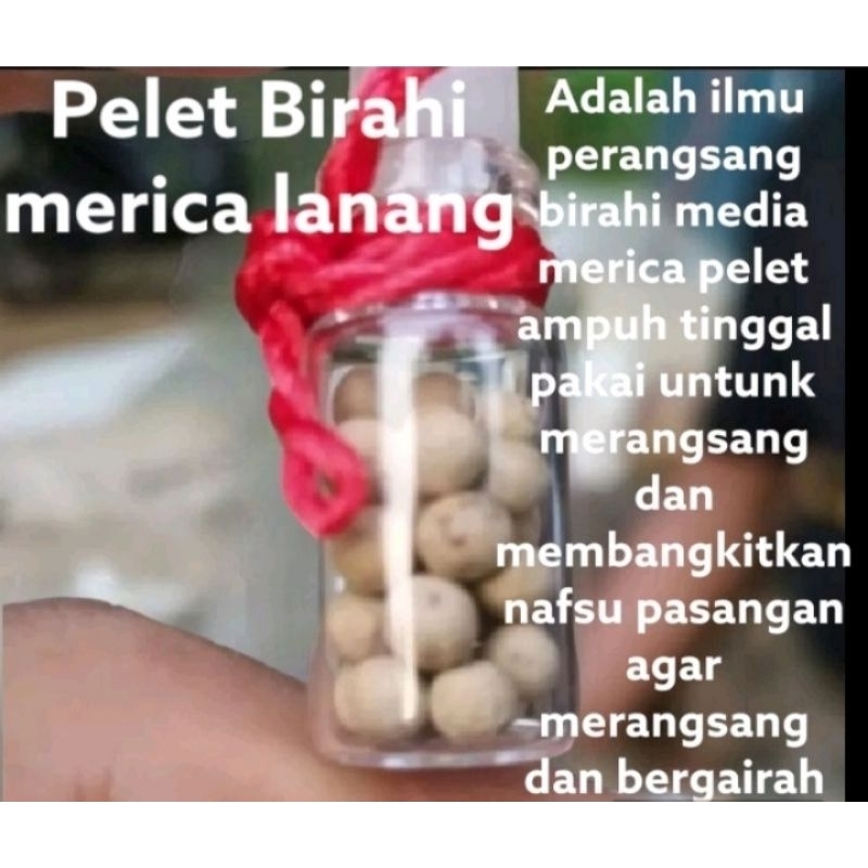 PROMO 11.11 MERICA LANANG  (PLLT KIRIM MIMPI BASAH)