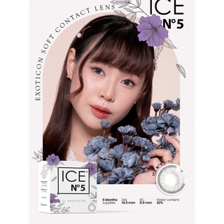 Softllens ICE N5 DIA 14.50mm BROWN MINUS (-6.50 s/d -10.00) BS