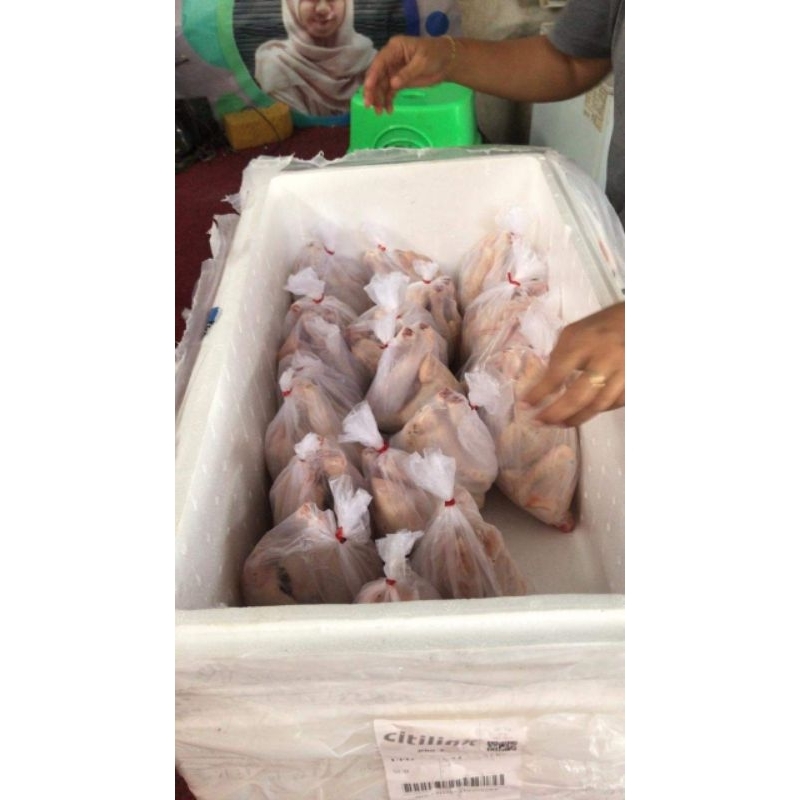 

AYAM KAMPUNG FROZEN