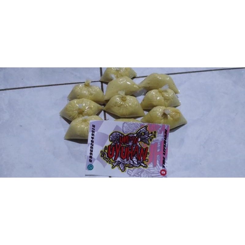 UMPAN JAGUNG (untuk ikan mas )