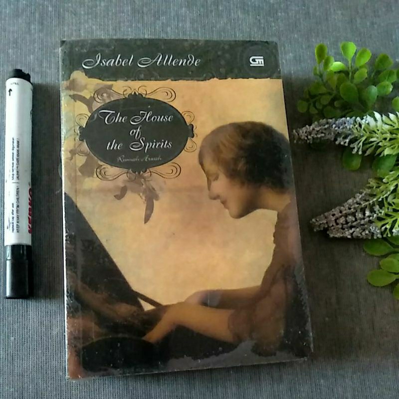 Novel isabel allende the house of the spirits