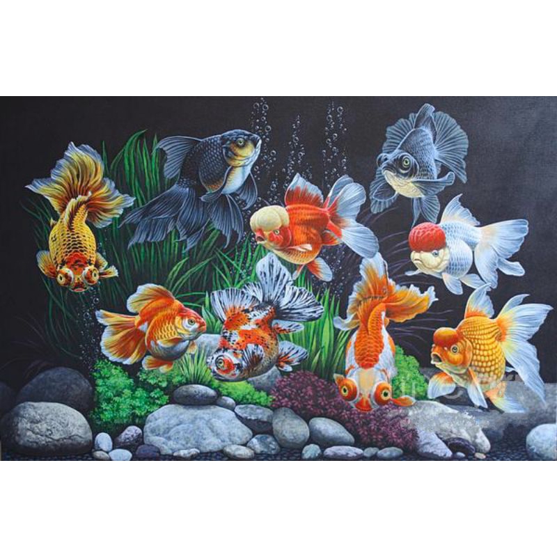 Poster Cetak, IKAN KOKI, Ukuran JUMBO, 100x70cm & 150x100cm & 200x100cm/Hiasan Dinding/Lukisan Cetak