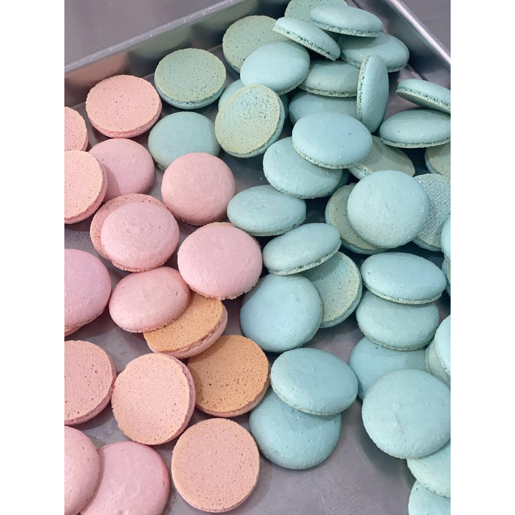 

Macaron Shells