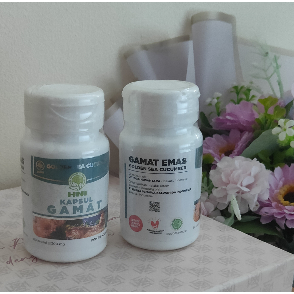 Gamat Kapsul isi 60 kapsul Original HNI HPAI - Teripang Emas