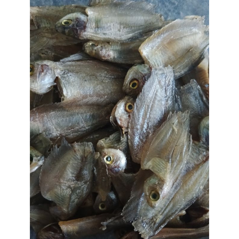 ikan kering sepat ikan sapat iwak sapat