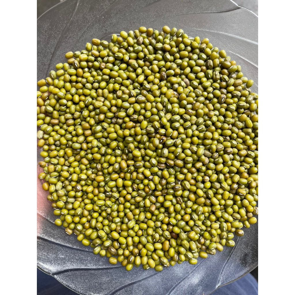 

Kacang Hijau Import Birma 1000g (1kg) SUPER!