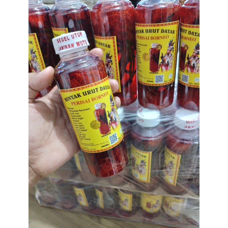 MinyakUrutDayakKalimantanBorneo