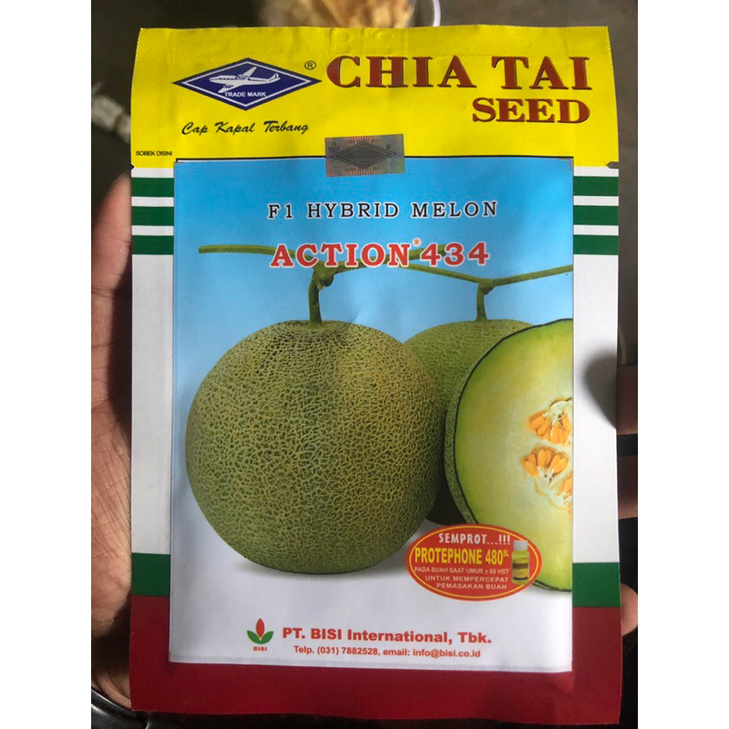 BENIH MELON F1 ACTION 434