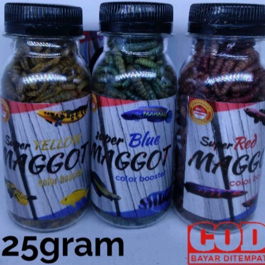 maggot bsf kering 25gram maggot kering