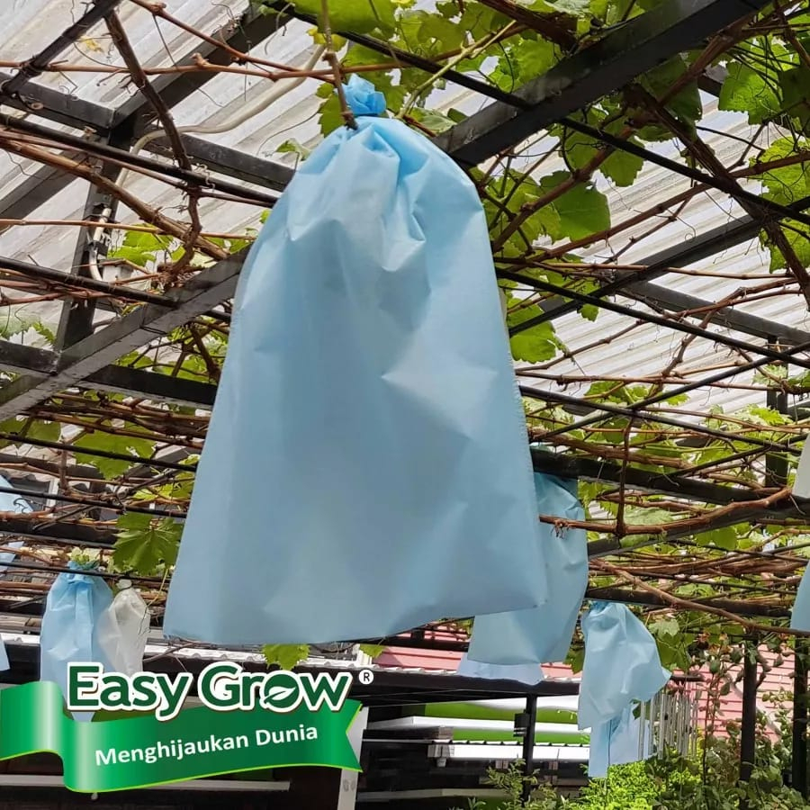 EASY GROW - fruit cover size L (25 x 30 cm) - pembungkus buah - brongsong buah