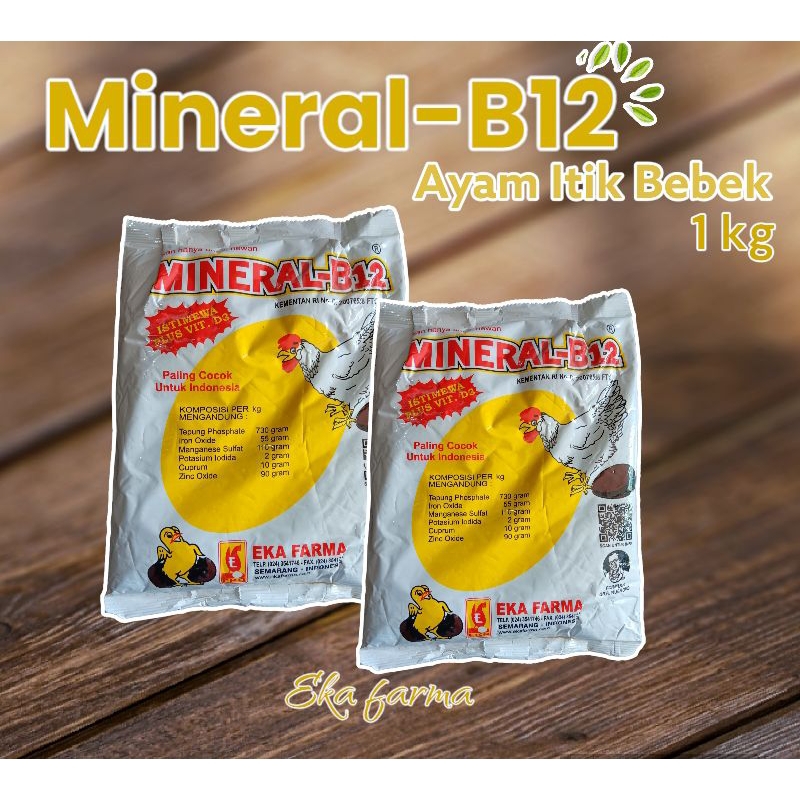 Mineral B12 multivitamin mineral ayam petelur bebek itik-eka farma