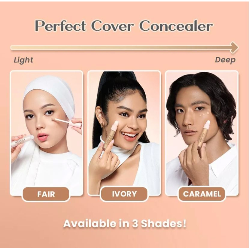 HANASUI PERFECT COVER CONCEALER