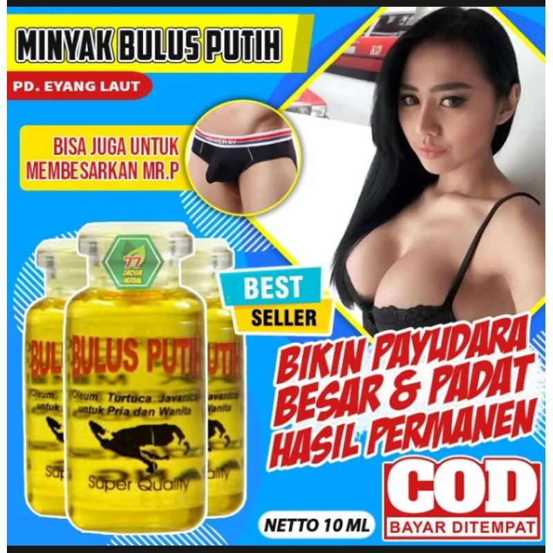 Pembesar_Payudara