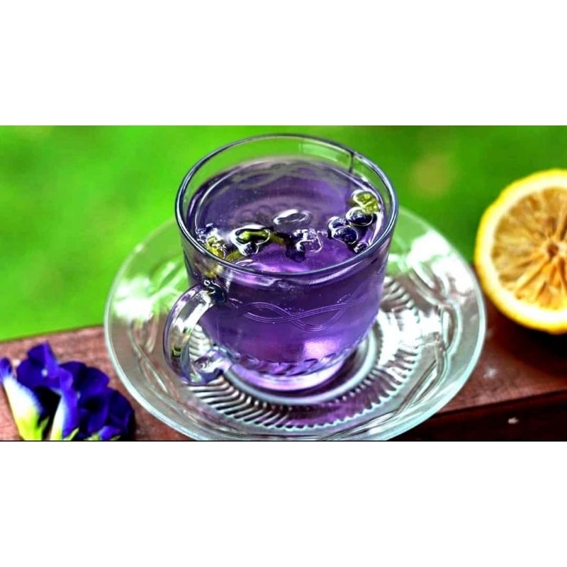 bunga telang / bunga telang kering