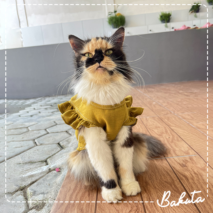 Baju Kucing Model Blouse Puffy Pastel untuk kucing dan anjing Kecil model Casual | Baju Anabul Bakuta!