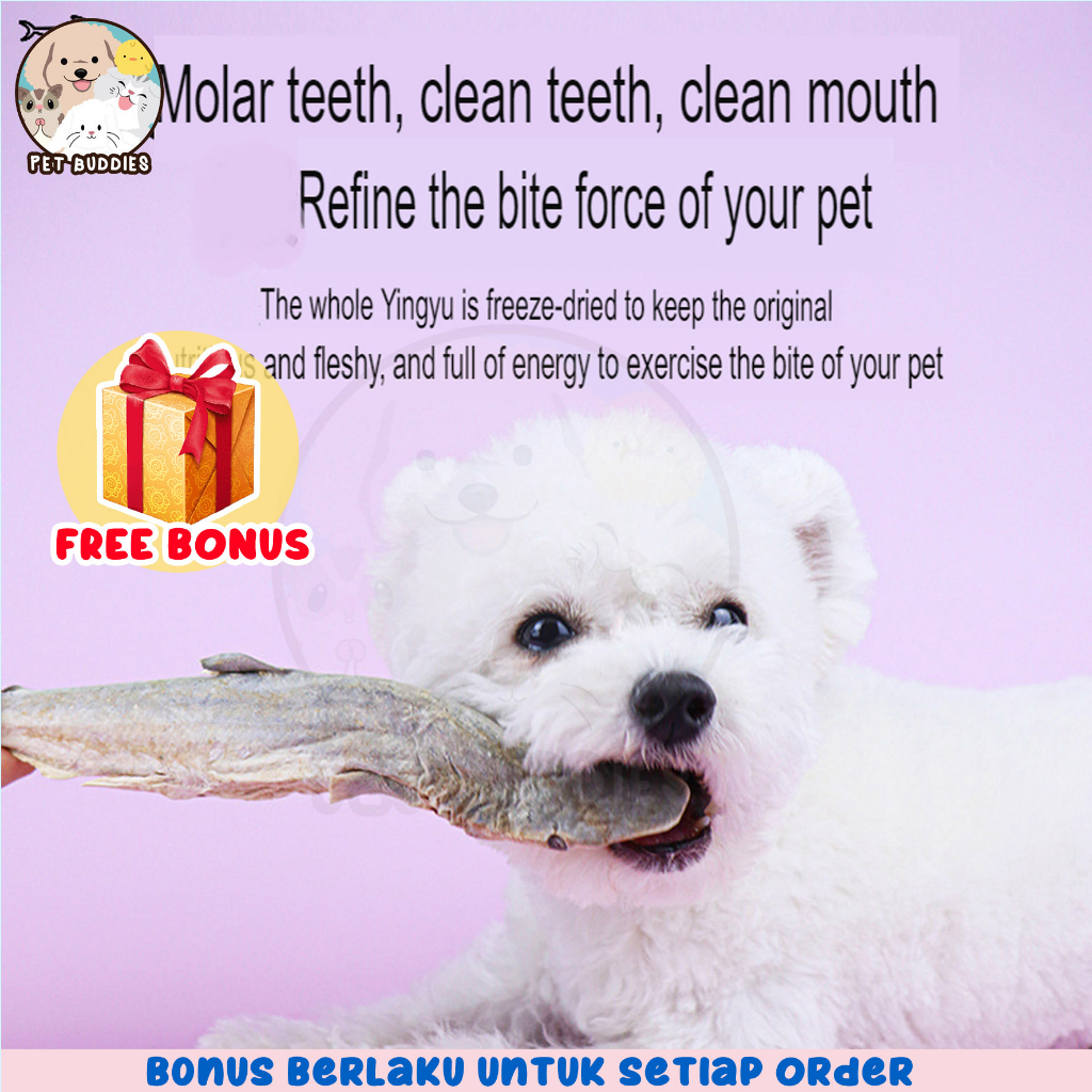 [FREE BONUS]Baby Shark Chewing Snack Makanan Kucing/Anjing Multivitamin