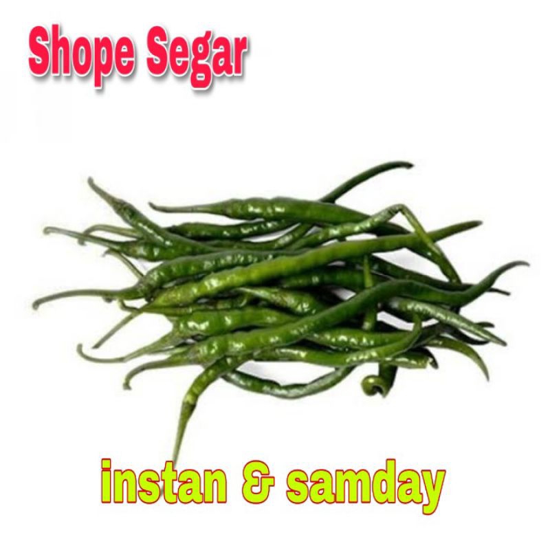 

Cabe Kriting ijo Cabai ijo Kriting KIRIM INSTAN & SAMDAY