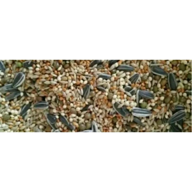 MAKANAN HAMSTER MIXFOOD HAMSTER TANPA PELET XTRA MINYAK SALMON