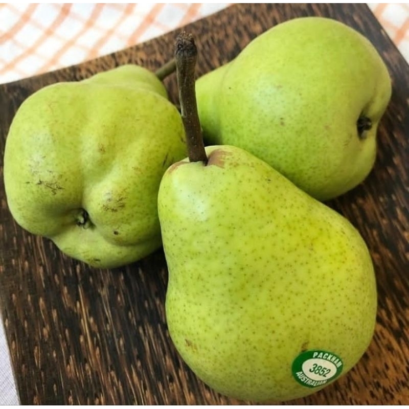 

Pear Packham Import | Pear Hijau Jambu Manis 1KG