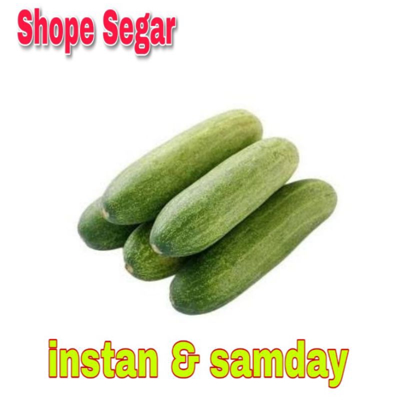 

Timun Lalap Mentimun Segar Timun Acar kirim instan dan sameday