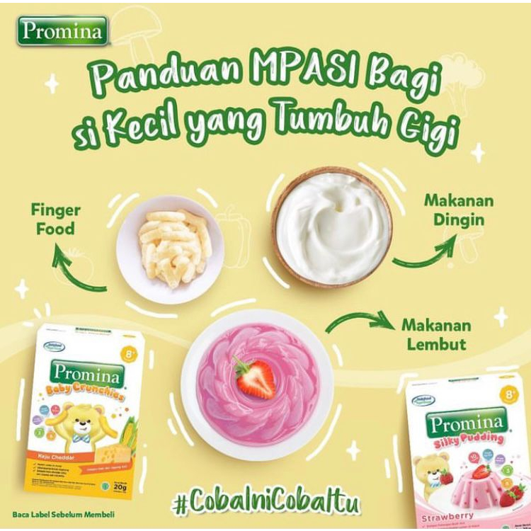 Promina Silky Pudding 100gr Usia 9+ / Puding Anak Bayi / Snack Bayi / Cemilan Bayi / MPASI Bayi / MAKANAN BAYI