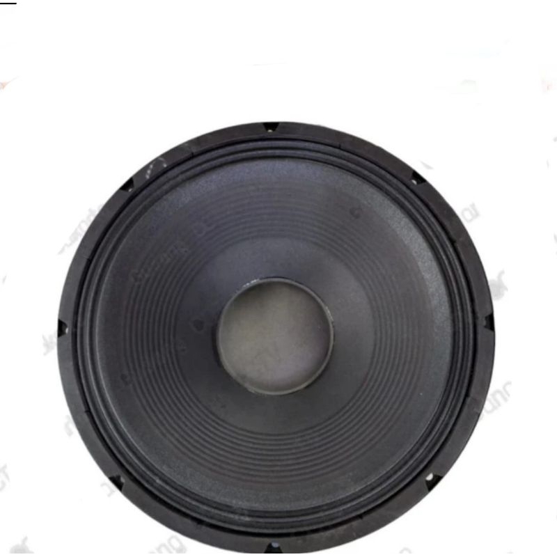 Speaker Komponen Peavey Pro Rider 18 Inch 1000 Watt