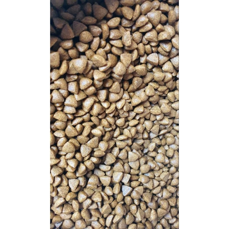 Wolly OceanFish Cat Food 800gr