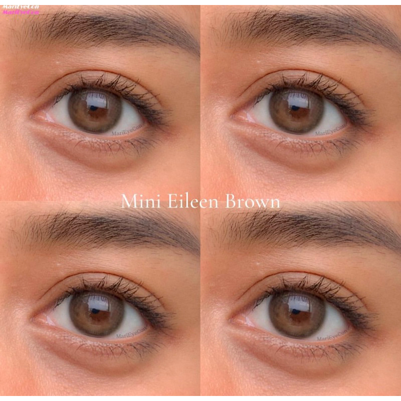 Softlens Kitty Kawaii Mini Eileen Brown / Coklat Normal Minus Beda Minus