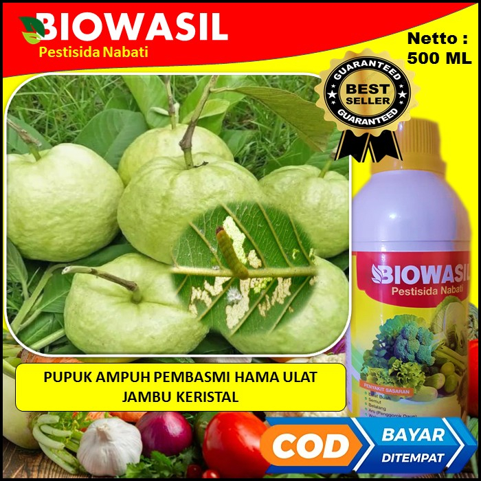 Cod Murah Langsung Kirim Pupuk Terbaik Biowasil Pestisida Nabati 500 Ml Pupuk Ampuh Membasmi Hama ul