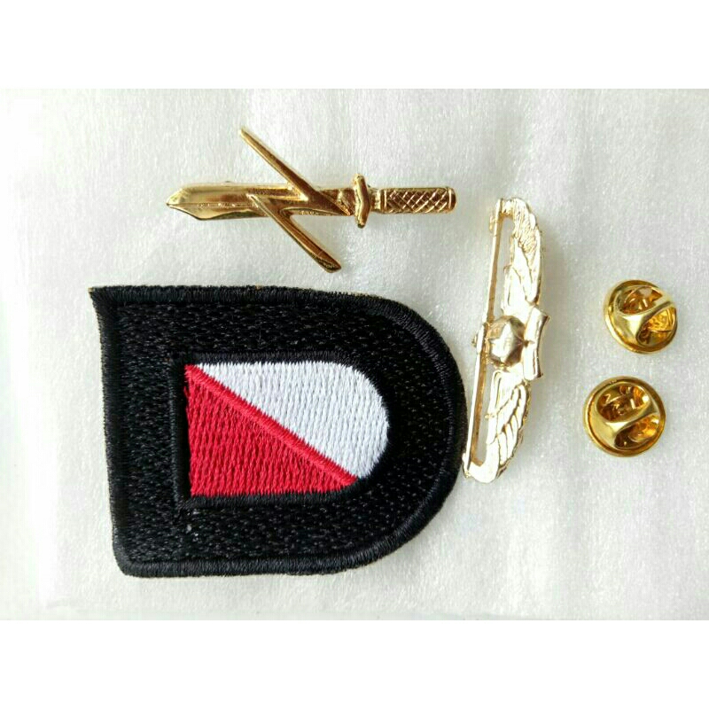 Emblem Raider | TNI AD