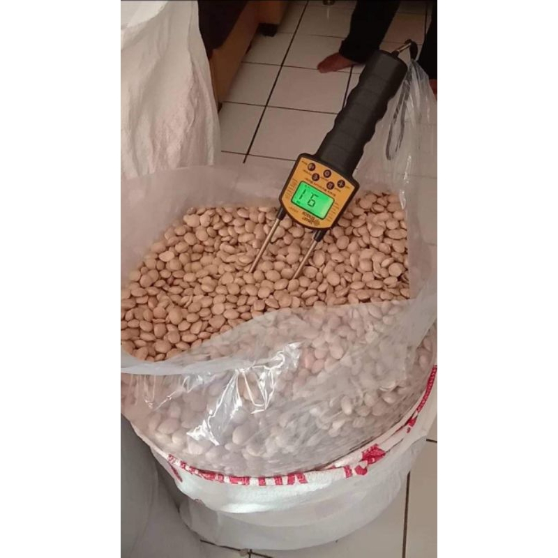 

Kacang/Biji Sacha Inchi Kupas Mentah 1kg