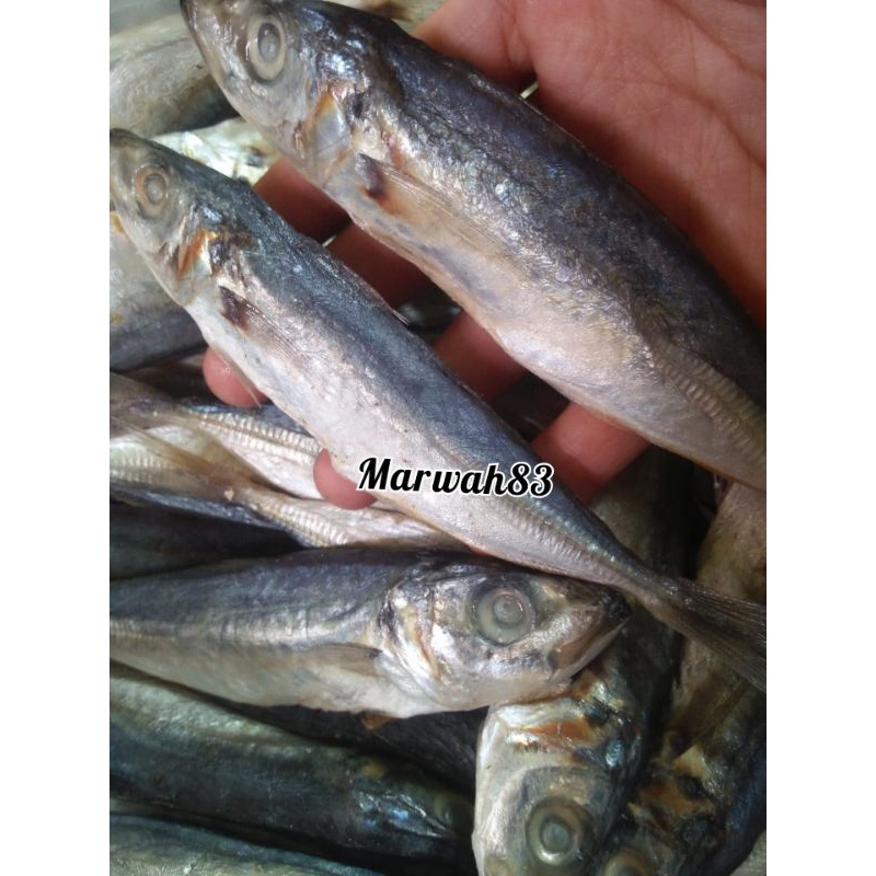 

ikan asin japuh layang kualitas super harga murah